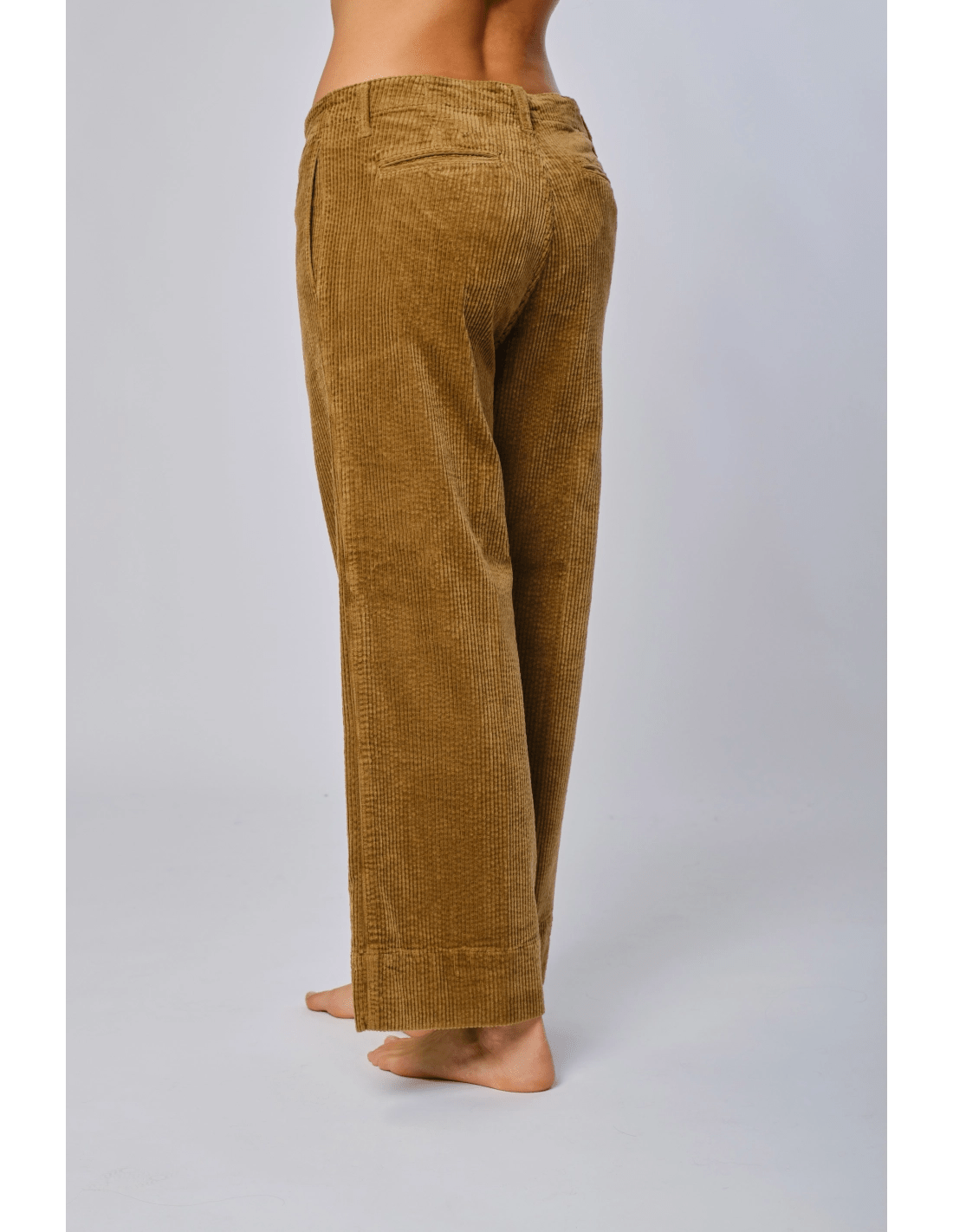 Pantalone strech velluto - MADAME VENICE - FW24 - P11 - VELVET SWEET - CAMEL - XS
